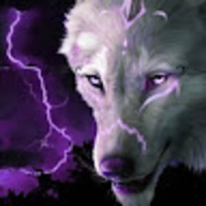 Meet your Posher, The red